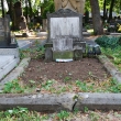 n�hrobek-stav p�ed zapo�et�m prac� 2008